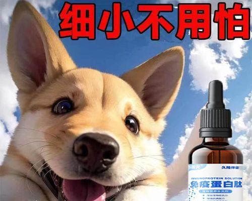 如何处理小狗拉稀问题（喂养方法和注意事项）