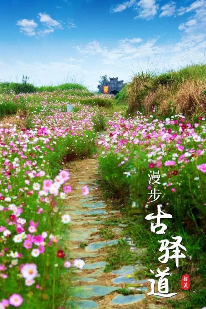 韶关三大古道：西京古道、梅关古道、乌迳古道