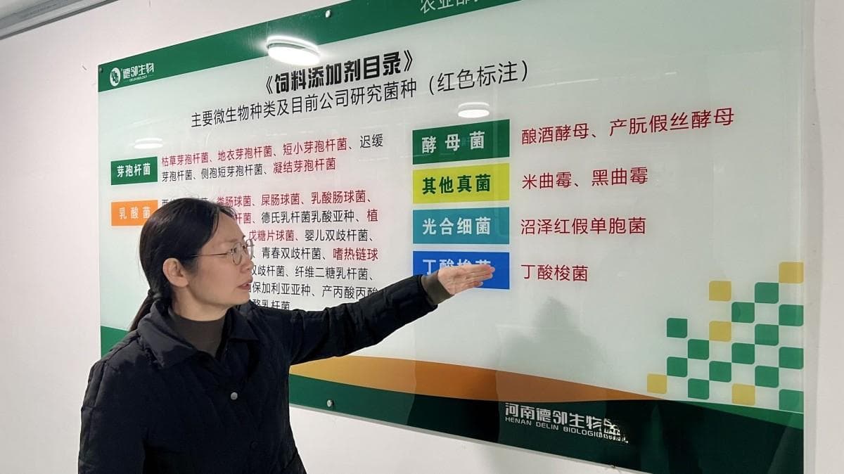 与“菌”同行，小小微生物链出大产业 | 跟着“科技副总”去答题