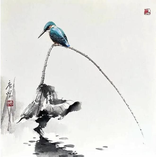 残荷听雨，禅静之美