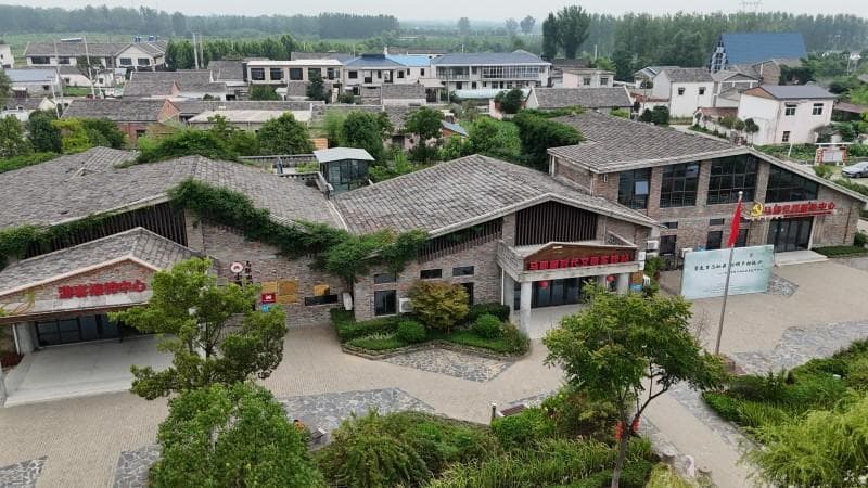 巾帼筑梦乡村兴：邂逅马郢村女性的田园诗篇