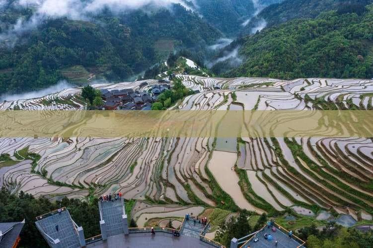 二月西双版纳：热带雨林探险与傣族文化2日游