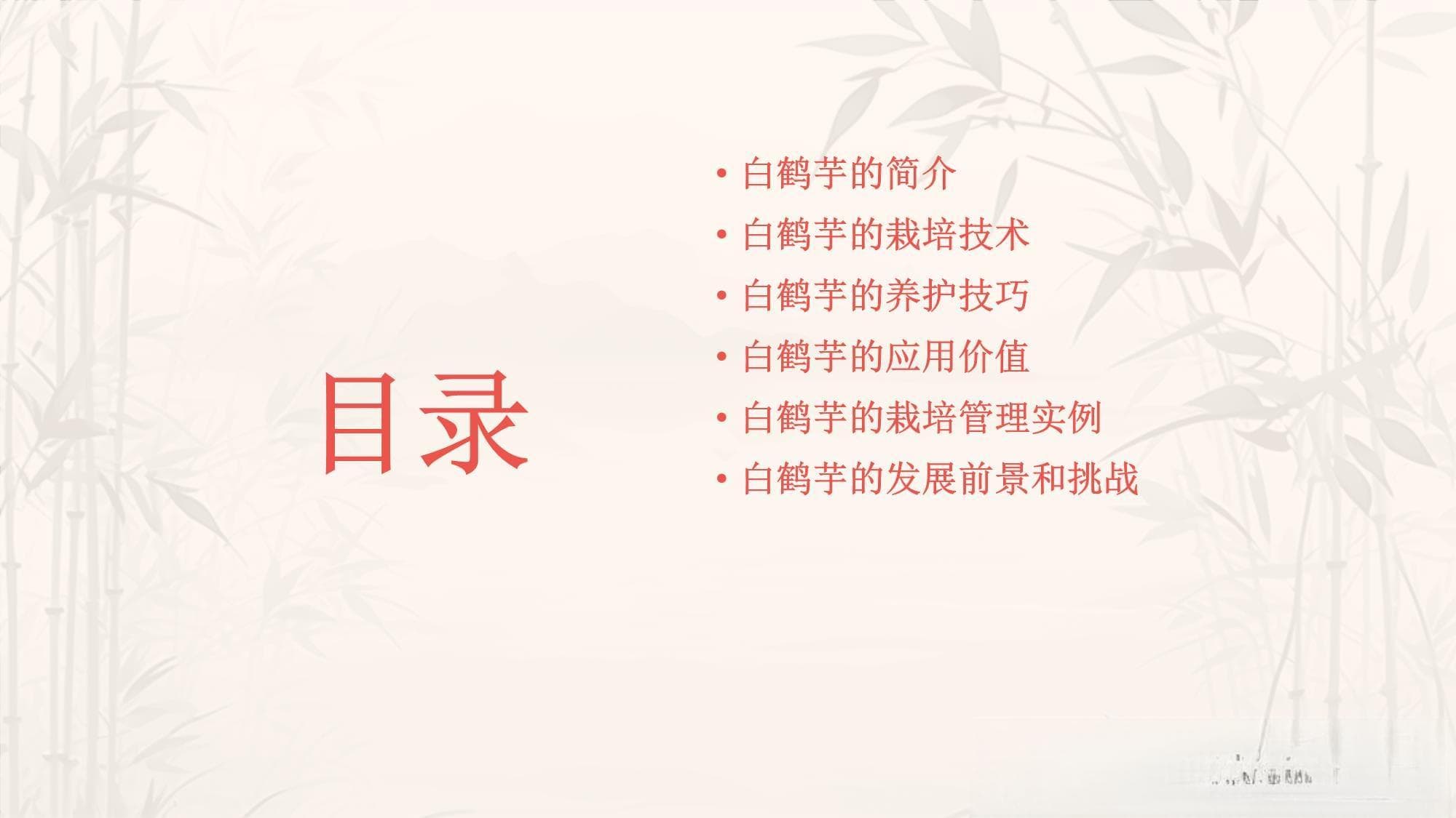 白鹤芋及其栽培管理