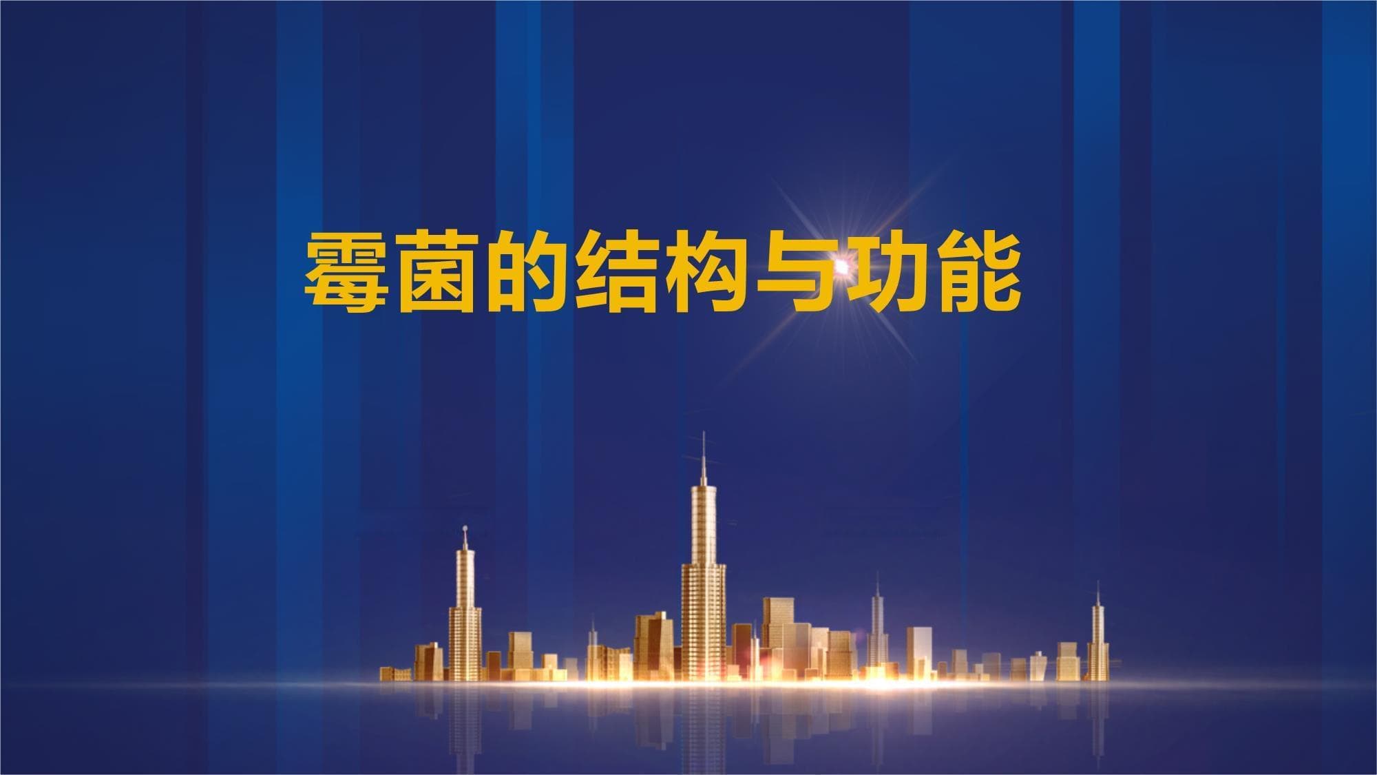 霉菌的结构与功能