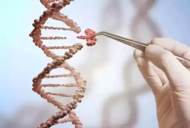 中国人的起源在哪里？我们的祖先真是非洲人吗？