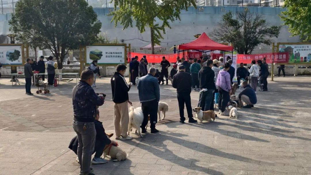 你的爱犬该打疫苗啦！凯里市开展犬只狂犬病疫苗免费接种服务