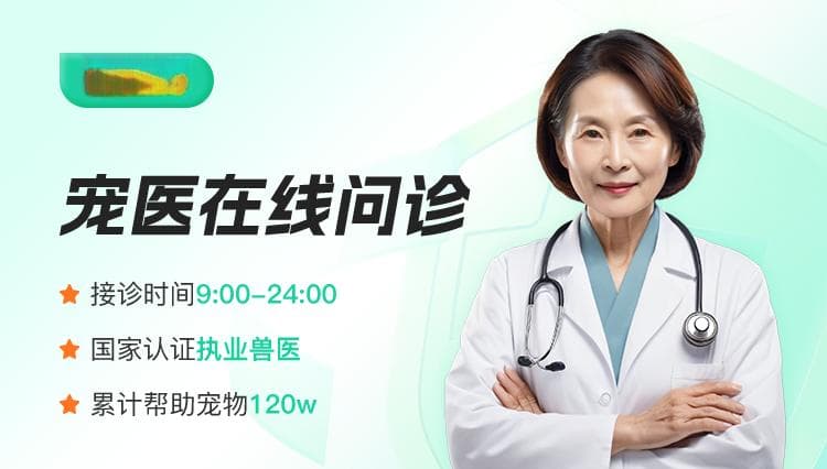 狗狗突然发抖！原因竟然有5个！