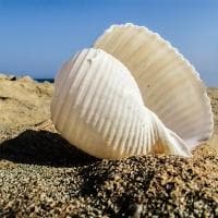 干式地暖和湿式地暖的区别
