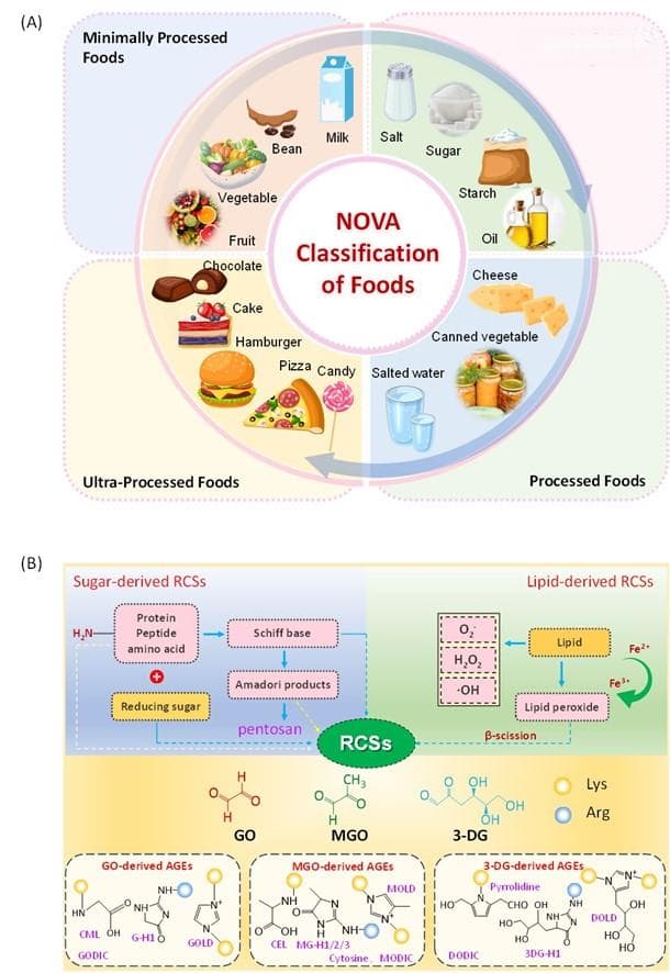 中国热科院在超加工食品中晚期糖基化终末产物减控领域取得新进展