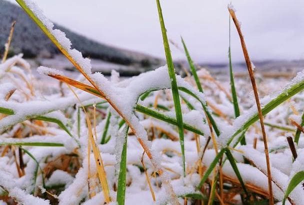 梦见下雪是什么征兆呢