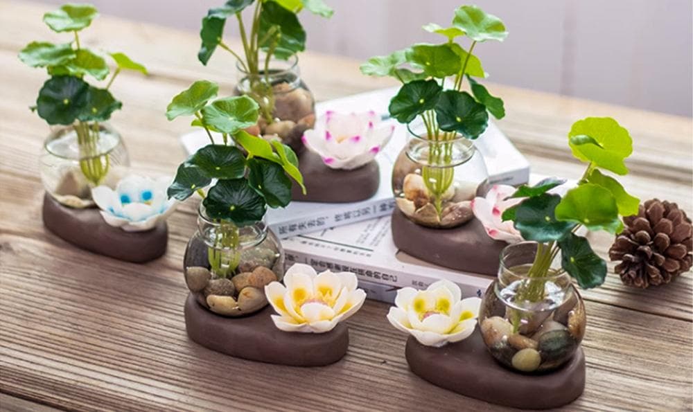 绿植放在家中的位置（绿植放在家中的位置有讲究吗）