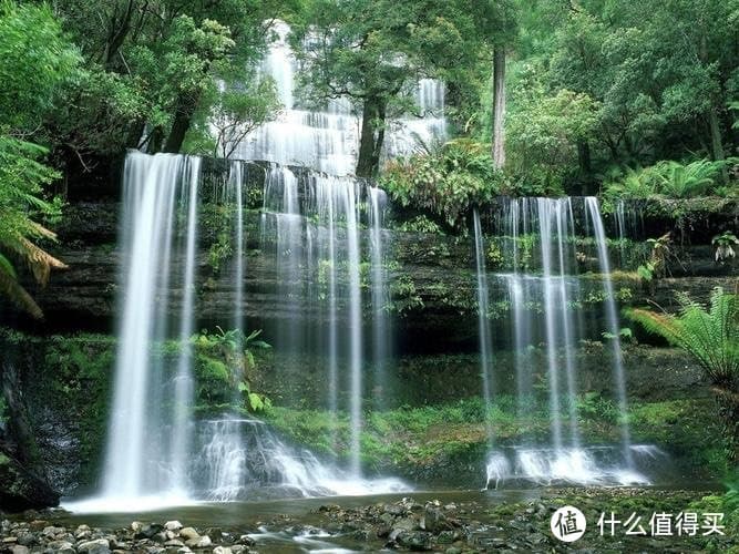 红曲粉在食品工业中的应用与研究