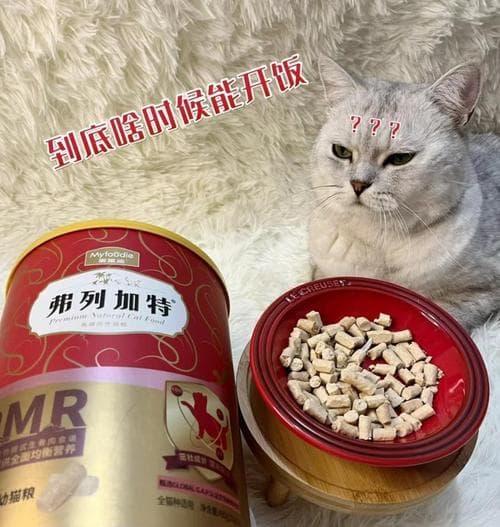幼猫吐后应喂哪种易消化猫粮？