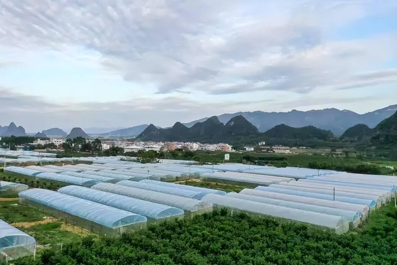 四种模式10个案例，带你了解生态农场