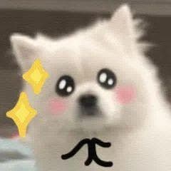 网络安全5大子方向！哪个才是最优选择？