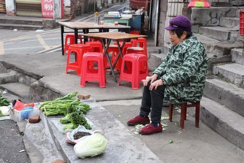 萍乡八旬夫妻种菜替亡子还债 诚信精神感动广大网友