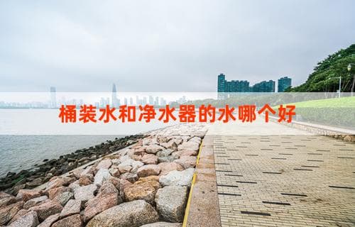 桶装水和净水器的水哪个更好？全面对比解析
