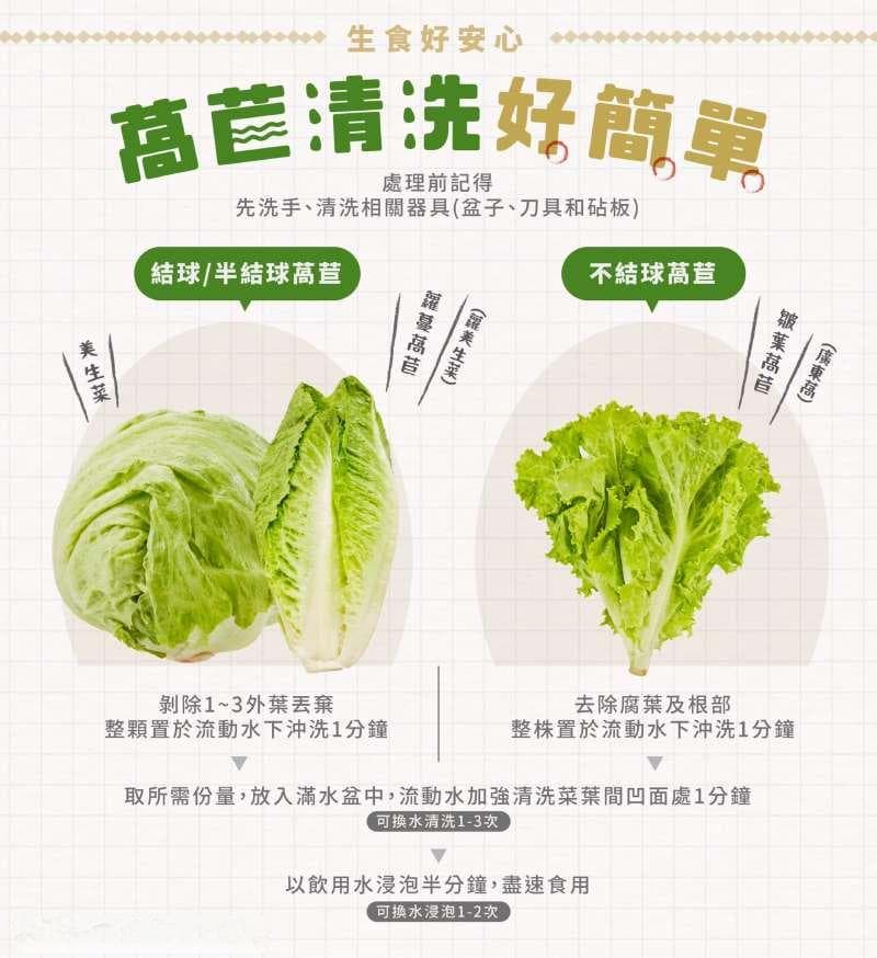 萵苣六大功效：抗癌、降血压！营养好處、两道料理食谱一次整理