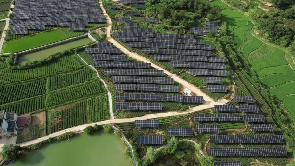 中国石化首个乡村振兴茶光互补项目全面建成