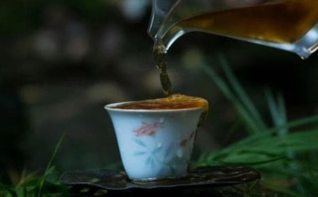 什么是老枞水仙茶