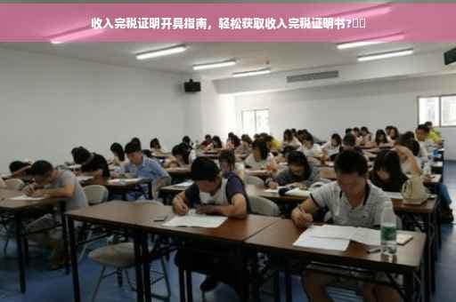 收入完税证明开具指南，轻松获取收入完税证明书