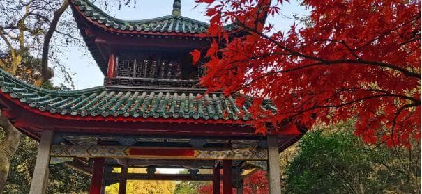 从岳麓书院到茶颜悦色：长沙必打卡的人文景点与美食
