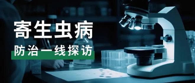 阳泉市黑热病防治工作取得显著成效