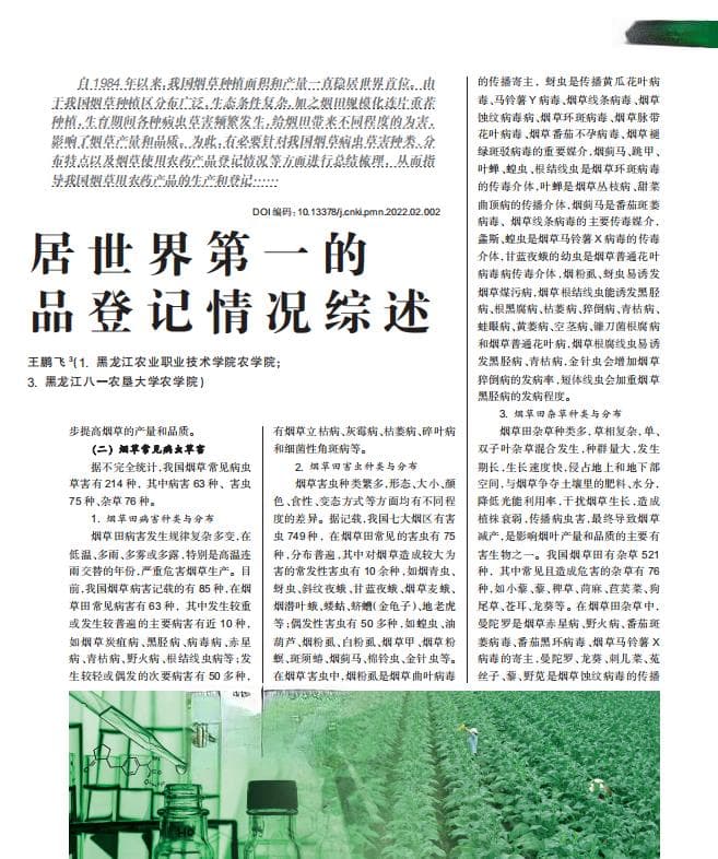 烟草青枯病的识别与防治技术
