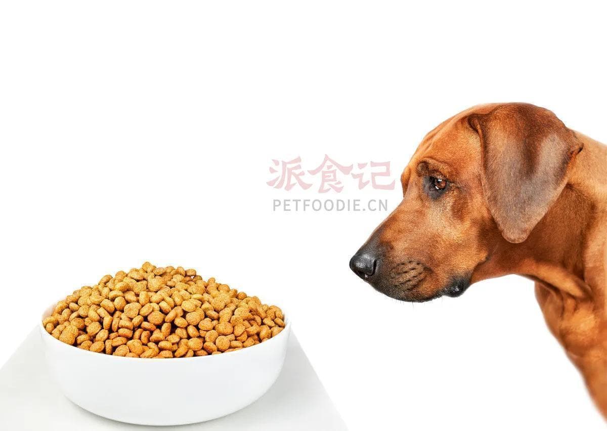一文讲透！宠物食品5大趋势深度解析