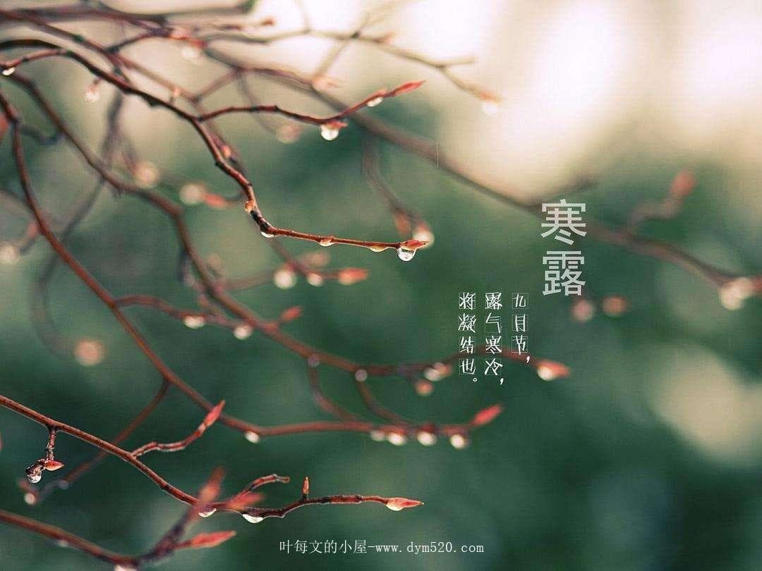 今日寒露：秋意深浓处，科学与民俗共舞