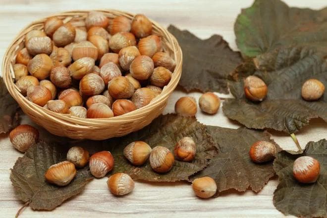 孕妇能吃榛子吗？孕期享美味，健康有讲究！