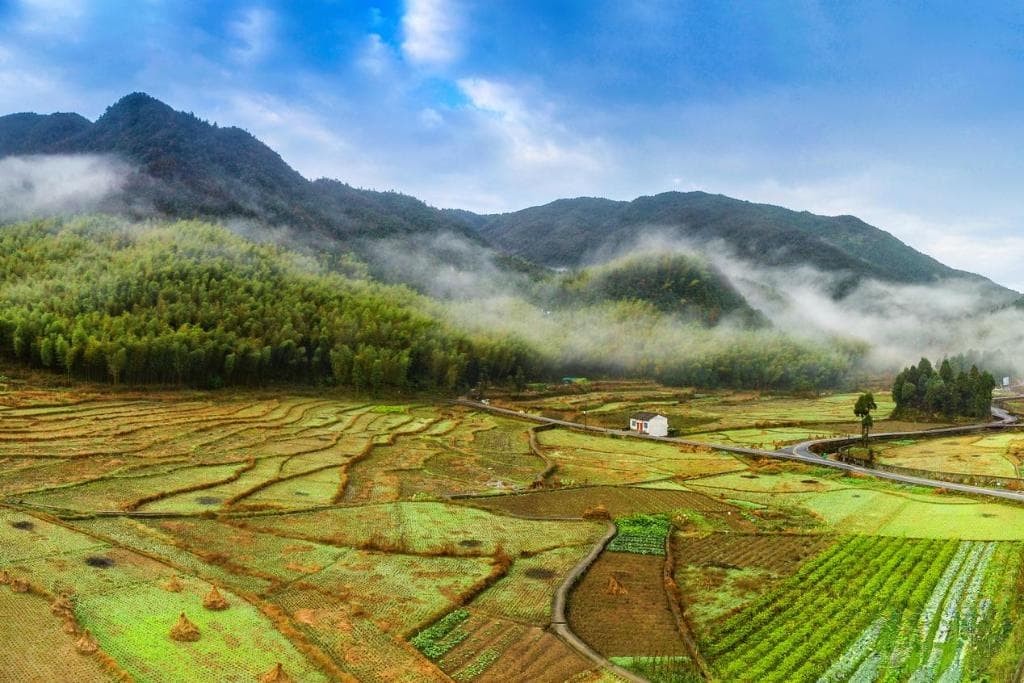 乡村振兴在行动丨长三角见闻：农旅融合 乡村蝶变引客来