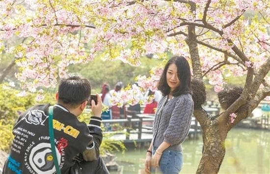 周末Plus快闪游：上班族的春季赏花新选择