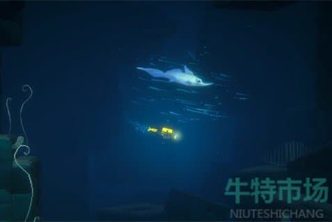 《潜水员戴夫》热门玩法攻略汇总