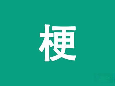 “身无彩凤双飞翼，心有灵犀一点通”是什么意思？