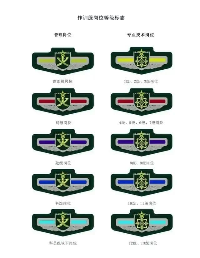 军队文职人员岗位等级制度详解：管理岗、技术岗、技能岗分级与晋升规则