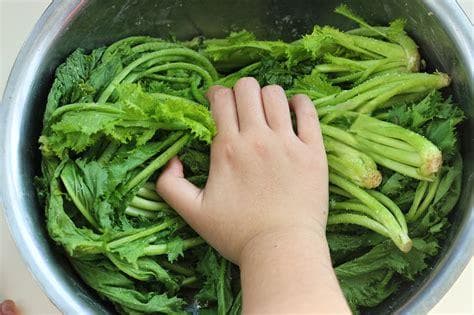 十斤雪里蕻需要多少盐腌制