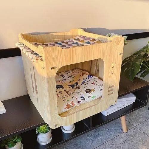 放鞭炮，猫也怕！