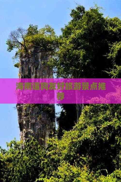 海南遛狗友好旅游景点推荐