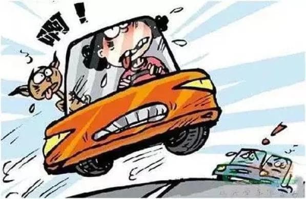 超速行车有危害，驾驶安全是第一！吉林交警邀您“与法同行”