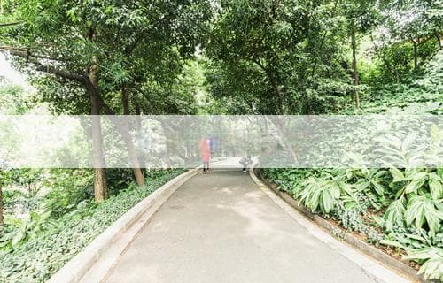 TMT是什么意思及其解析