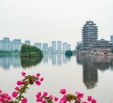 东坡湖公园：眉山市的休闲娱乐胜地