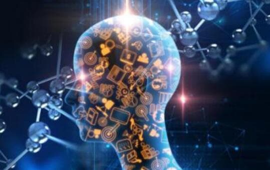 科学家利用AI读取大脑数据，合成最符合人类审美的面部特征