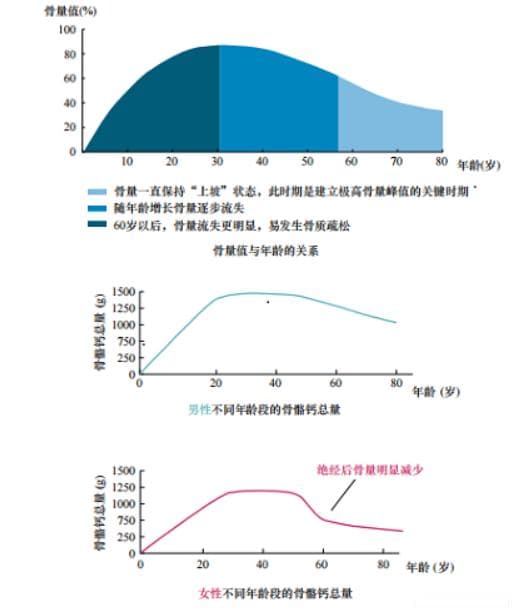 三十岁之前把钙存够