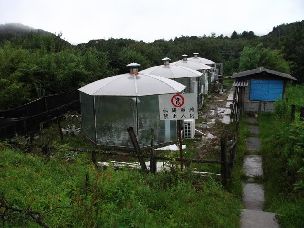 二氧浓度升高对亚热带植物叶片气体交换、生长和水力结构的影响