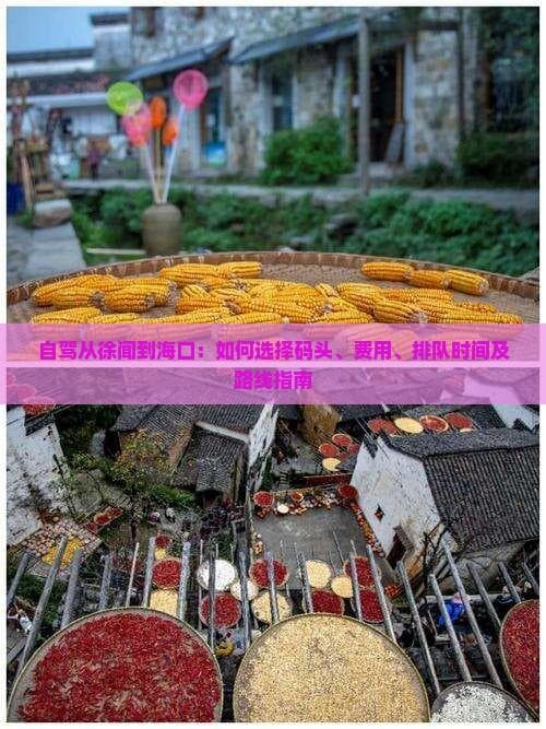 自驾从徐闻到海口：如何选择码头、费用、排队时间及路线指南