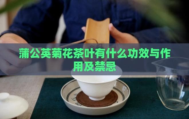 蒲公英菊花茶的功效与作用及禁忌