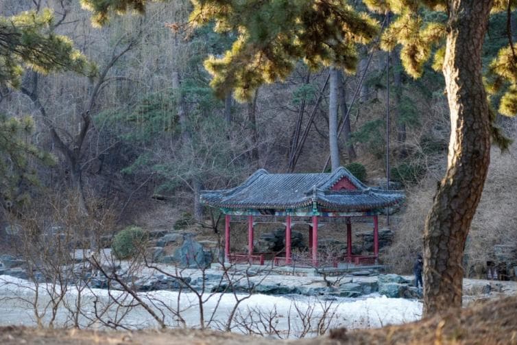 春天的脚步近了！北京最新“爬春山”攻略来了