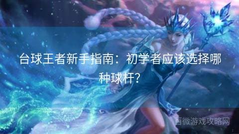台球王者新手指南：初学者应该选择哪种球杆？