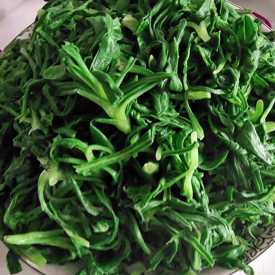 这菜全身是宝，可惜好多人当草！经常上火多吃点，炒和蒸都特香！